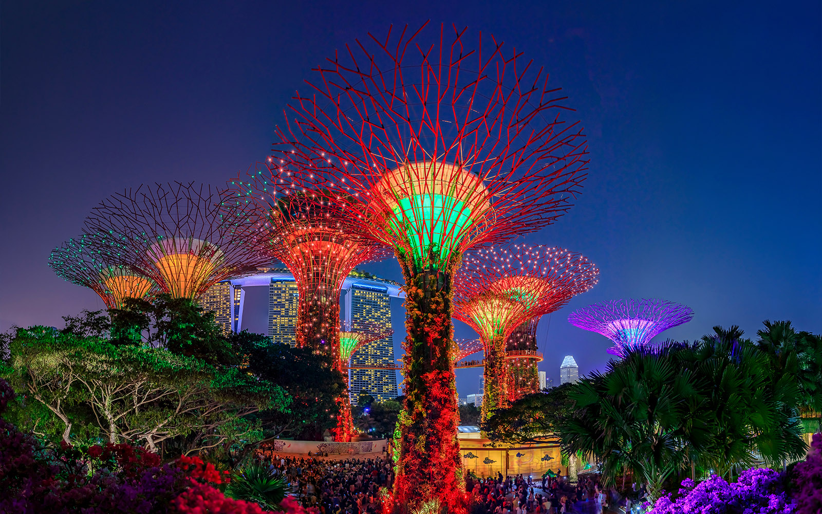 Gardens By The Bay At Night A Dazzling Spectacle In Singapore